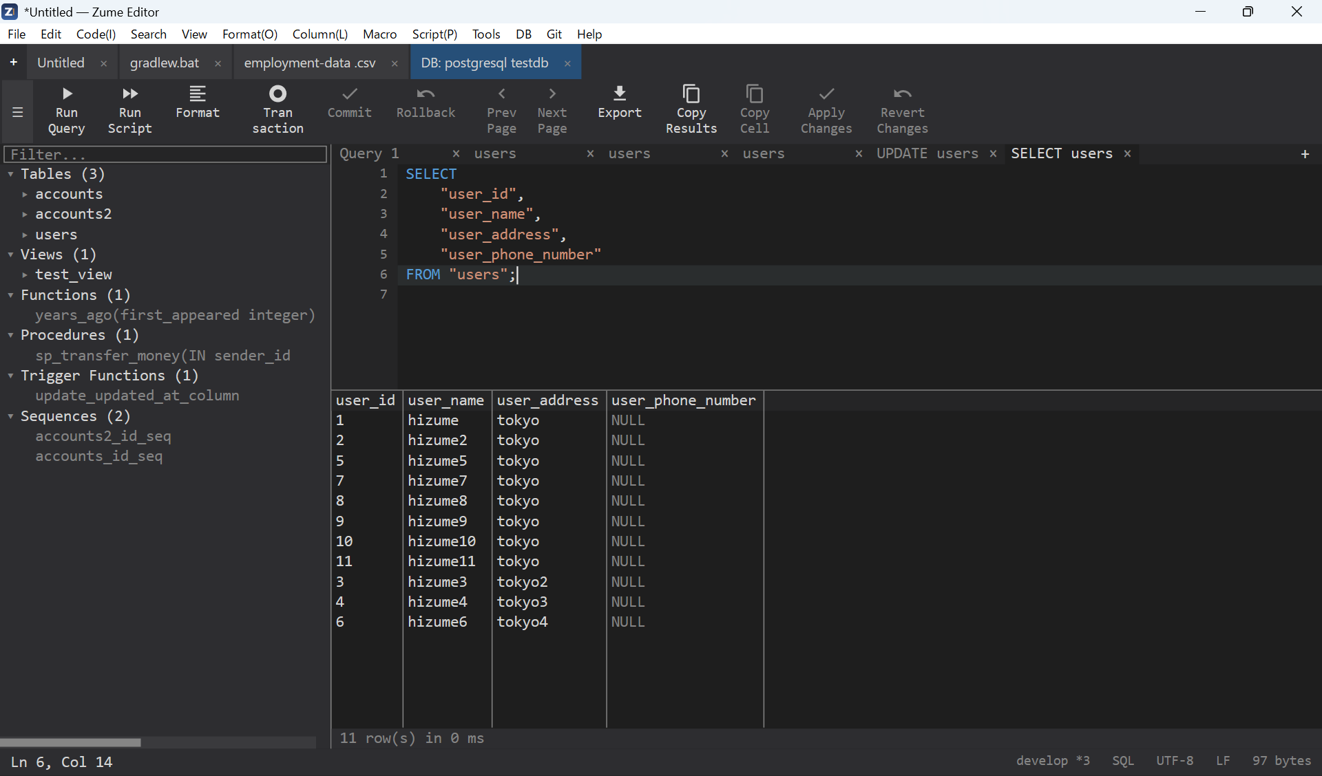 The schema browser and the results grid