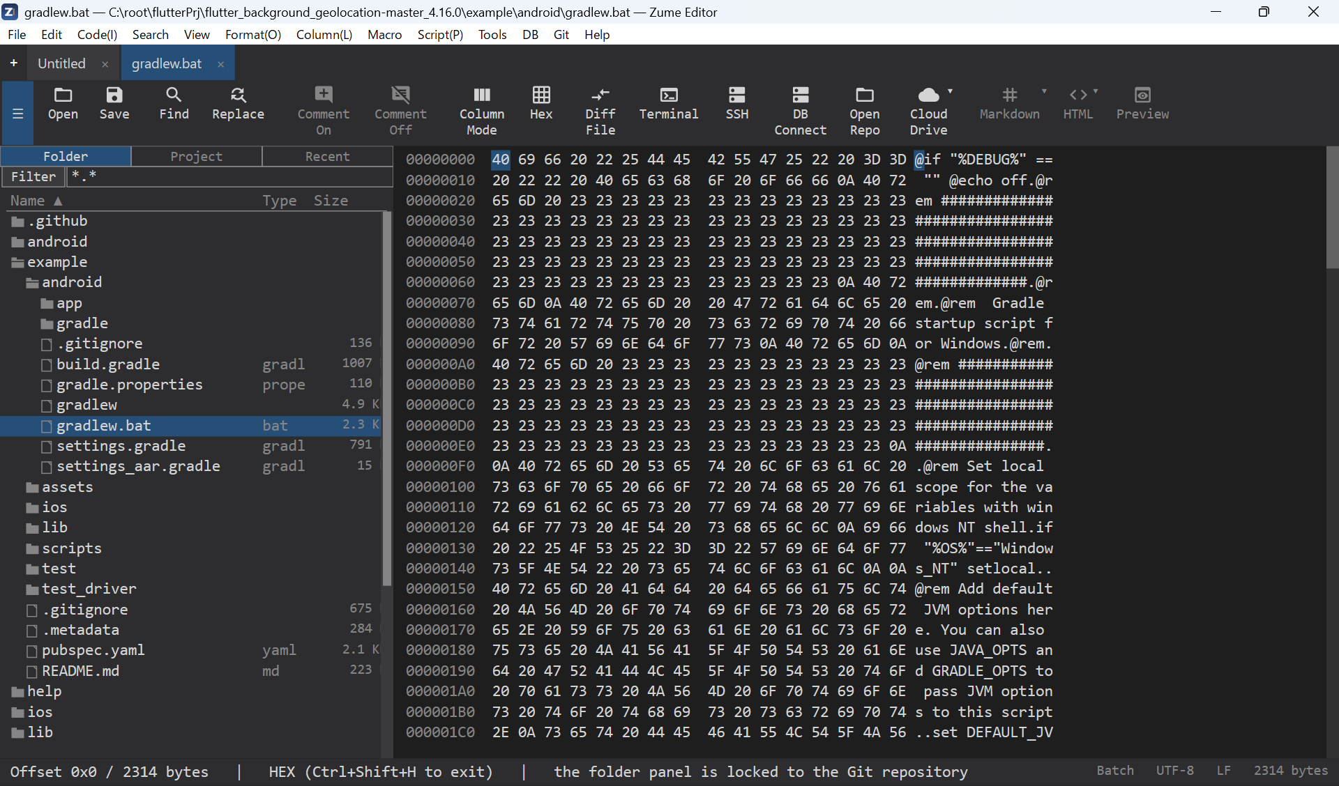 The hex editor